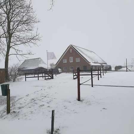 Landelijk Gelegen Boerderij Aan De Pothofweg Leilighet Anevelde Eksteriør bilde