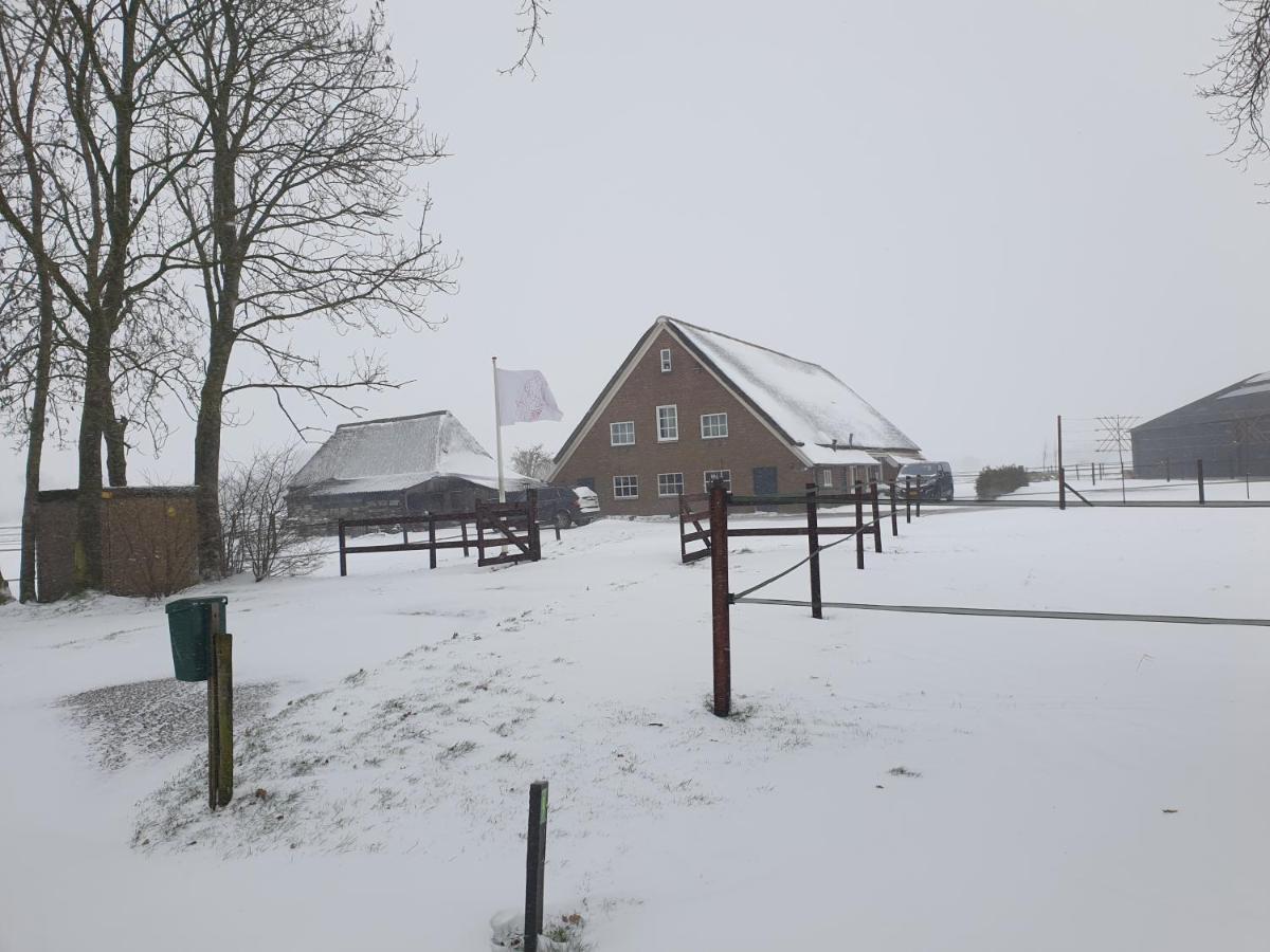 Landelijk Gelegen Boerderij Aan De Pothofweg Leilighet Anevelde Eksteriør bilde